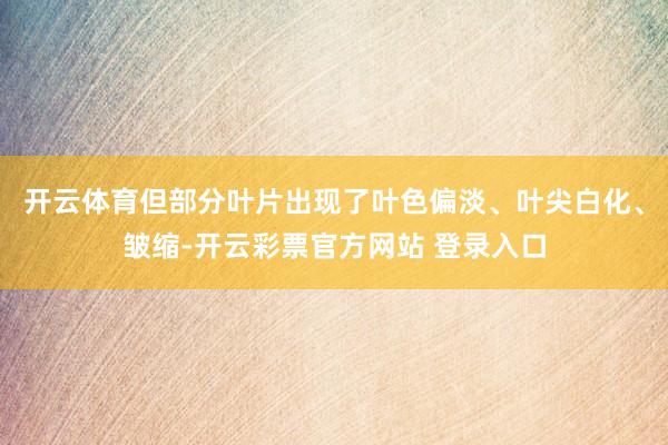 开云体育但部分叶片出现了叶色偏淡、叶尖白化、皱缩-开云彩票官方网站 登录入口